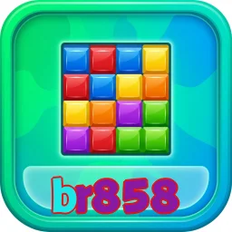 br858